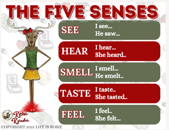 Rosie School Curriculum