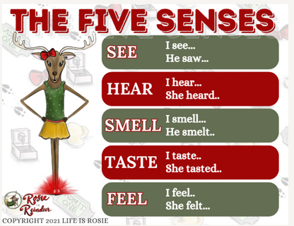 Rosie School Curriculum